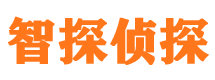 沙湾外遇调查取证